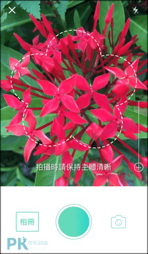 免費植物|PictureThis 拍照識花識別植物App，拍花樹葉照，辨識。